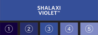 Shalaxi Violet: die fünf enthaltenen Töne aus dem offiziellen Games-Workshop-Flyer